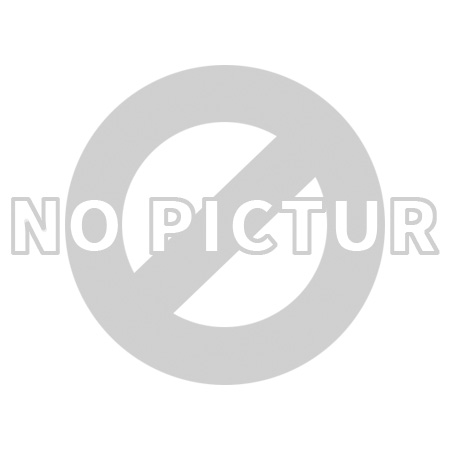 澳波泰克 N型自動(dòng)恢復(fù)防撞柱 澳波泰克 N型自動(dòng)恢復(fù)防撞柱