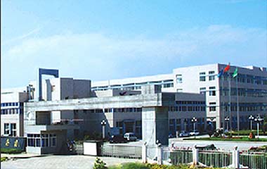 Saina賽納 Saina賽納