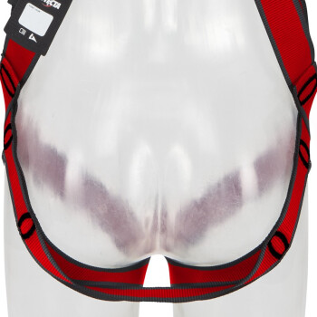 3M1161730保泰特P200五點(diǎn)全身式安全帶M/L紅色圖片1 3M1161730保泰特P200五點(diǎn)全身式安全帶M/L紅色圖片1