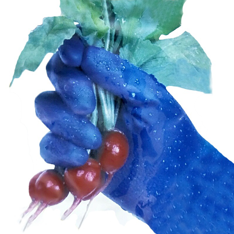 TOWA 774藍(lán)色耐油PVC手套圖片3 TOWA 774藍(lán)色耐油PVC手套圖片3