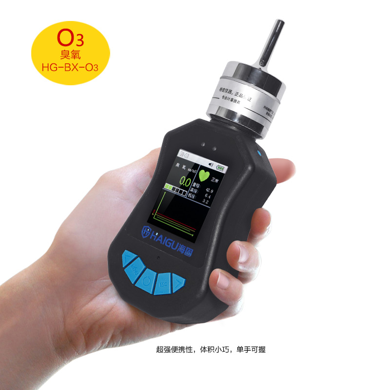 海固HG-BX-O3臭氧泵吸式氣體檢測(cè)儀圖片2