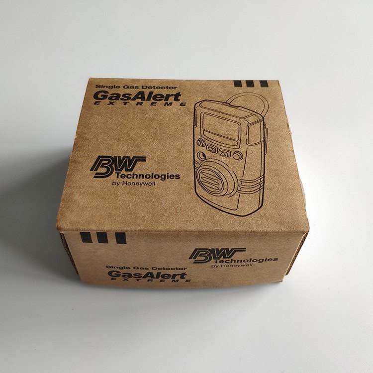 BW GAXT-H-DL便攜式單一硫化氫氣體檢測(cè)儀圖片3