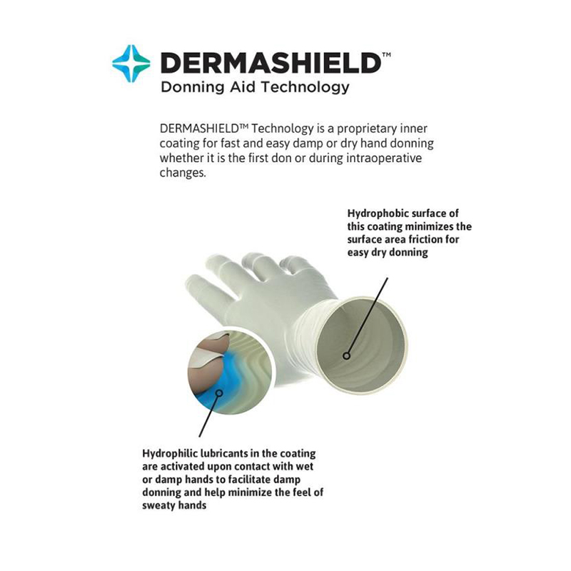 安思爾GAMMEX 340006060氯丁橡膠外科手套圖片3 安思爾GAMMEX 340006060氯丁橡膠外科手套圖片3