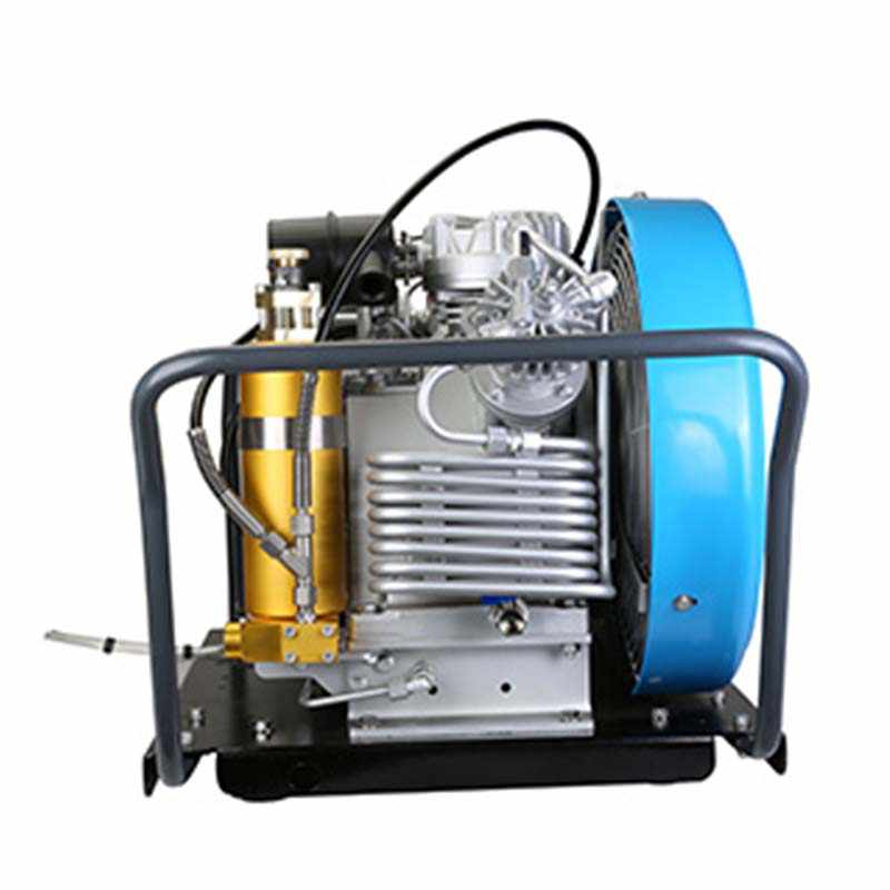 寶恩BBC-200P呼吸空氣填充泵-臥式可移動(dòng)簡(jiǎn)易款圖片2 寶恩BBC-200P呼吸空氣填充泵-臥式可移動(dòng)簡(jiǎn)易款圖片2