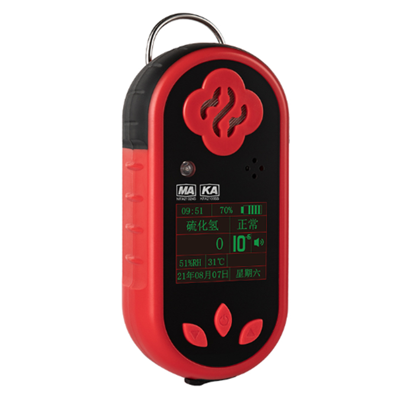 保時(shí)安CLH100硫化氫測(cè)定器圖片1