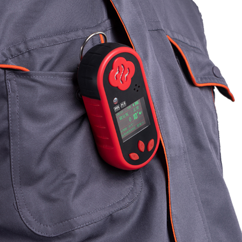 保時(shí)安CLH100硫化氫測(cè)定器圖片3