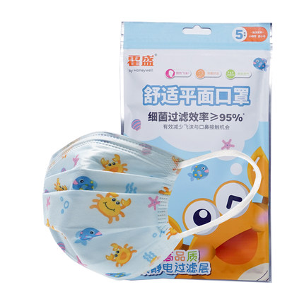 霍尼韋爾霍盛HMS-DM-07一次性口罩