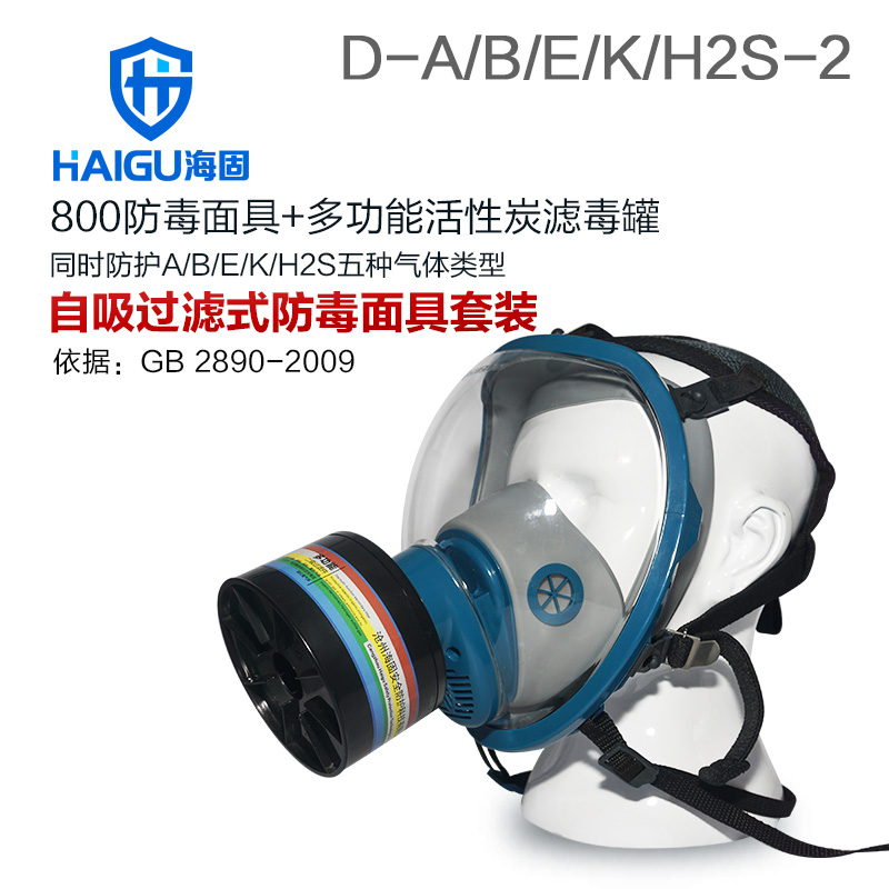 海固HG-800 D-A/B/E/K/H2S-2綜合防毒面具套裝