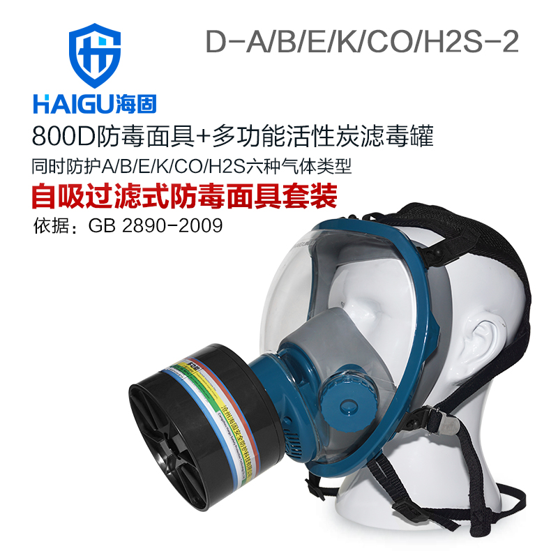 海固HG-800D D-A/B/E/K/H2S/CO-2全面罩綜合防毒面具
