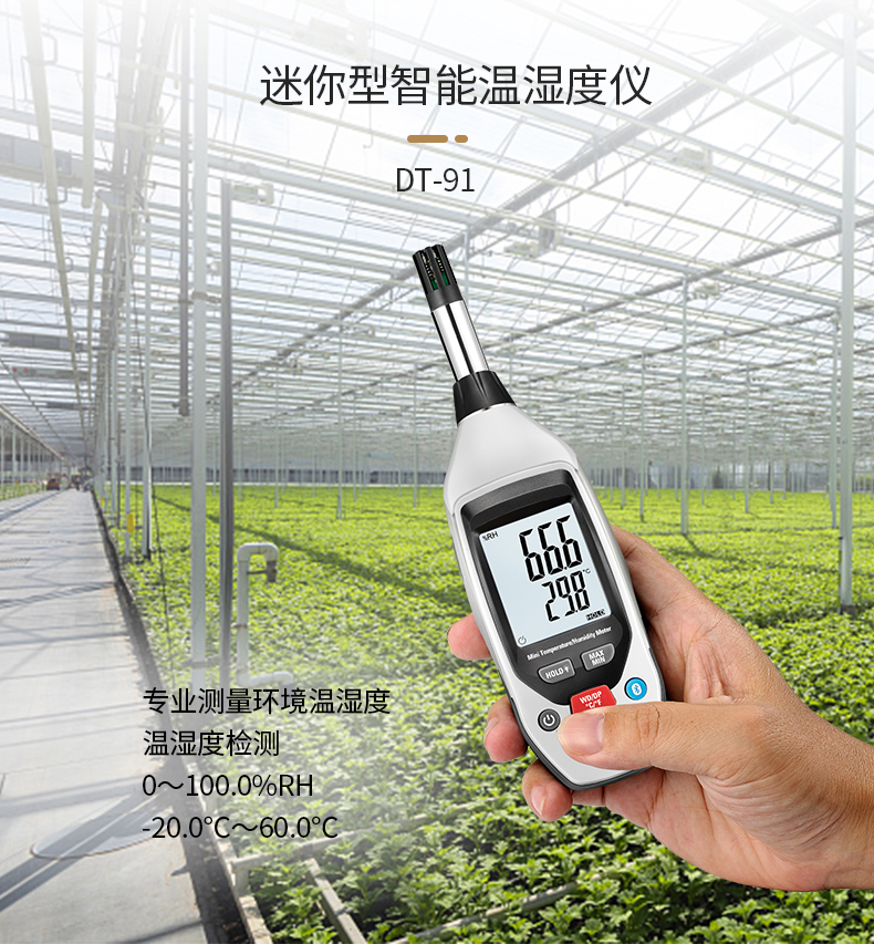 華盛昌DT-91迷你型智能溫濕度儀