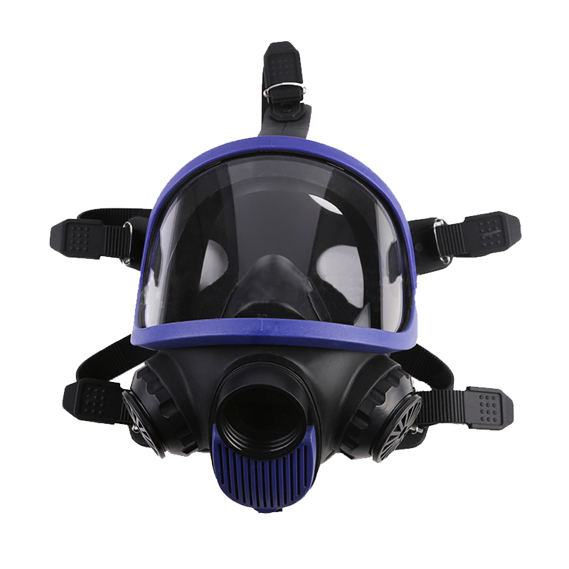 生寶M600防毒面具