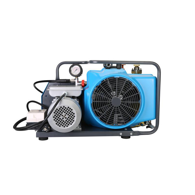 耐生NS100B單相電機(jī)空氣壓縮機(jī)