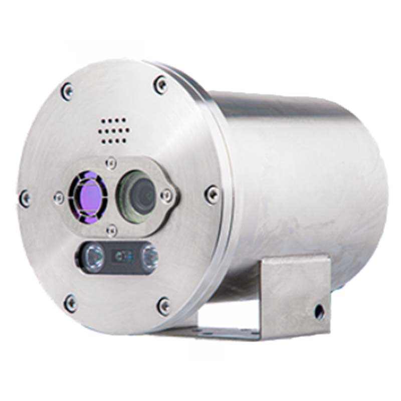 大立DLD-EXS206雙光譜防爆型測溫槍機(jī)