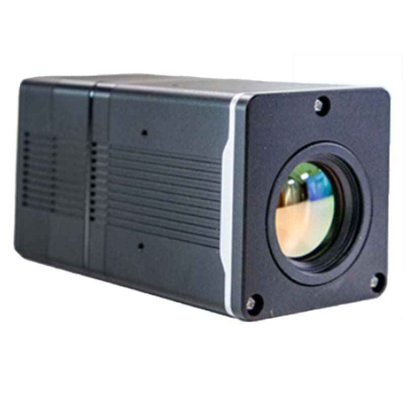 大立DM80在線測溫機(jī)芯