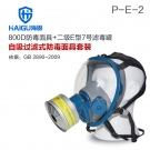 海固HG-800D HG-LV/P-E-2酸性氣體專用防毒面具