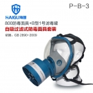 海固HG-800 P-B-3綜合防無(wú)機(jī)氣體防毒面具