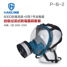 海固HG-800D P-B-2無機(jī)氣體綜合防毒面具