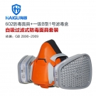 海固HG-602 P-B-1半面罩無機(jī)氣體防毒面具 海固HG-602 P-B-1半面罩無機(jī)氣體防毒面具