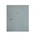 康諧醫(yī)療防護(hù)門 康諧醫(yī)療防護(hù)門