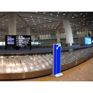 SMACH RC1010通道式放射性監(jiān)測系統(tǒng)