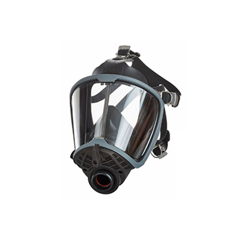 梅思安10203696G1面罩圖片