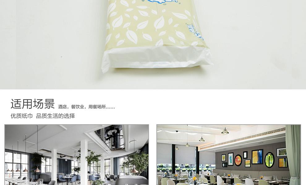 金佰利0020-01SCOTT雙層PE袋裝面紙圖9