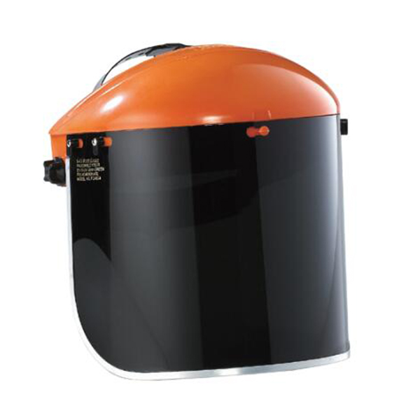 藍(lán)鷹B1OR+FC48G5防護(hù)面罩套裝圖片