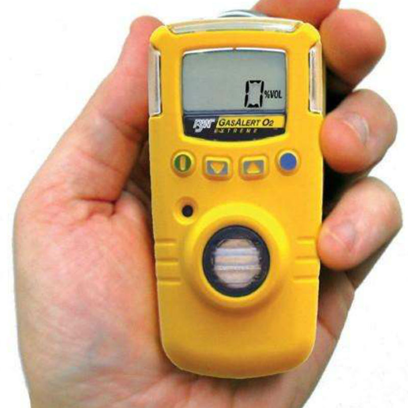 BW GAXT-Z-DL便攜式單一氰化氫氣體檢測儀圖片2