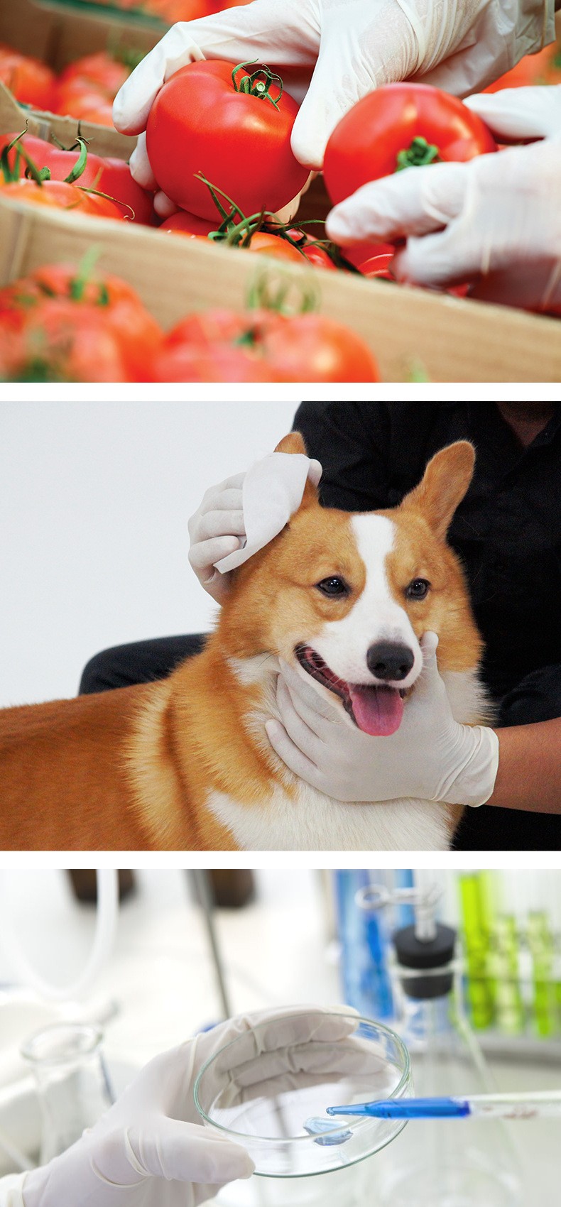 施?？礔860天然乳膠檢查手套圖片8