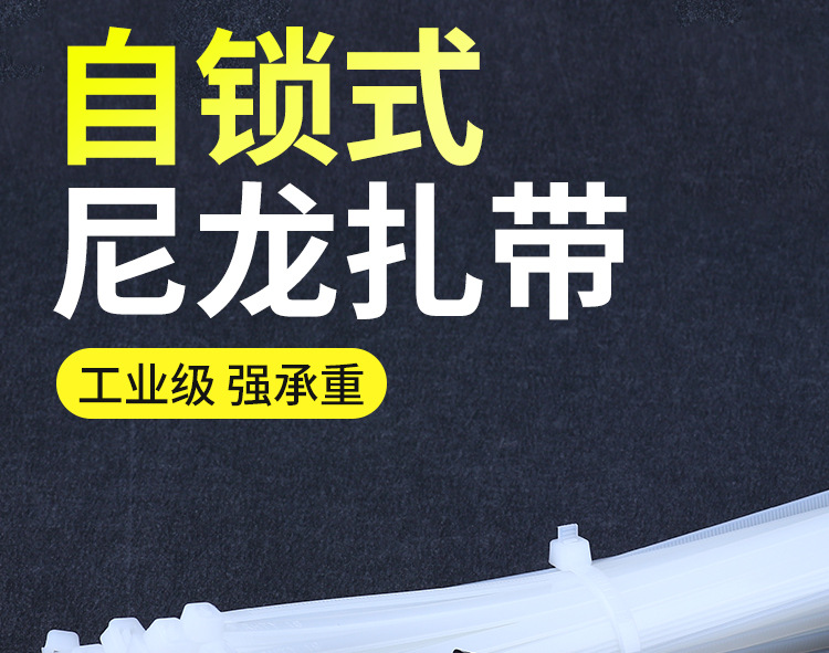 尼龍?jiān)鷰О咨猃埨υ鷰ё枣i式扎帶1
