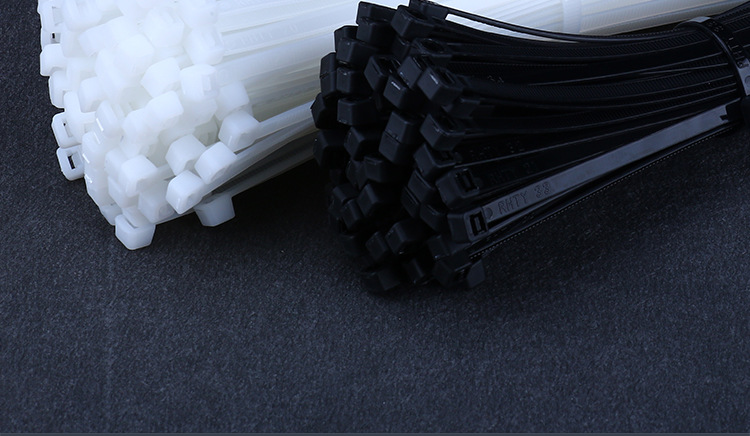 尼龍?jiān)鷰О咨猃埨υ鷰ё枣i式扎帶2