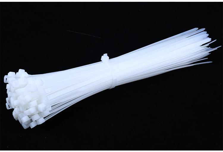 尼龍?jiān)鷰О咨猃埨υ鷰ё枣i式扎帶21