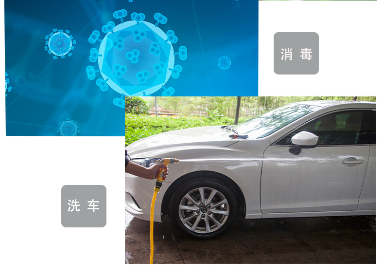 背負(fù)式手動噴霧器16L打農(nóng)藥消毒霧化噴霧器9