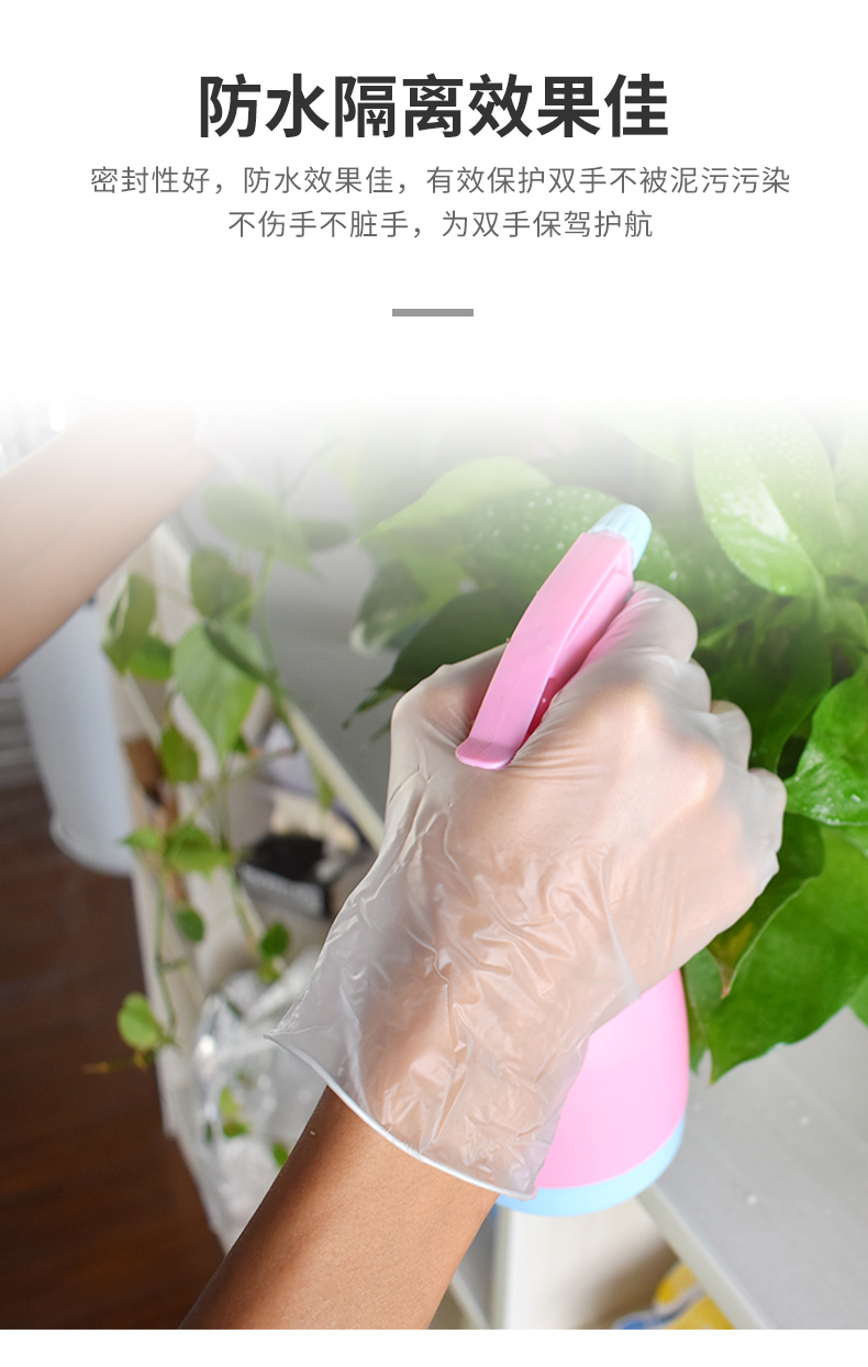 塞莫詩V901TP防水透明一次性PVC手套圖片10