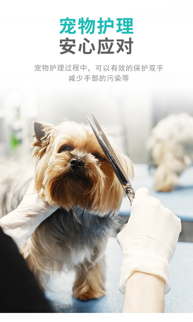 塞莫詩LM903MW一次性醫(yī)用橡膠檢查手套圖片10