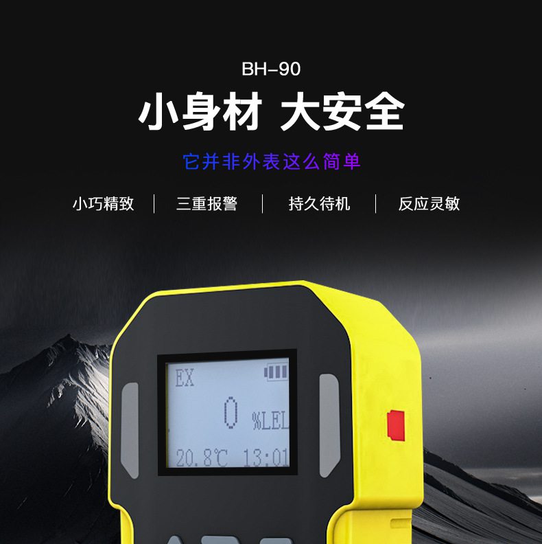 保時(shí)安BH-90便攜式擴(kuò)散式單一氣體檢測(cè)儀1.jpg