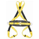 霍尼韋爾(巴固)DL-35雙掛點經(jīng)濟型全身安全帶，配有定位腰帶