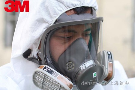 雙濾盒全面罩噴漆防毒面具