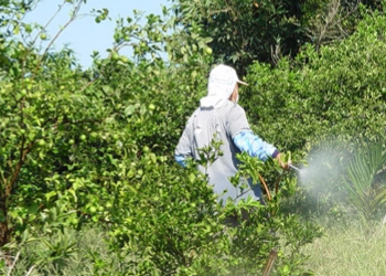 噴灑農(nóng)藥過(guò)程中的個(gè)人防護(hù)