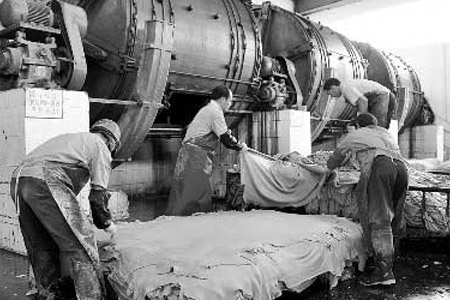 皮革制造企業(yè)的工人沒戴任何防護用品對廢舊皮革進行加工切割