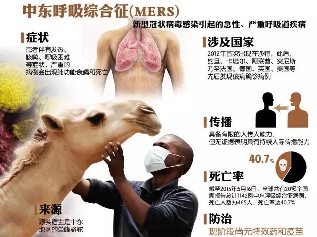 中東呼吸綜合征MERS傳播途徑及臨床表現(xiàn)(圖)
