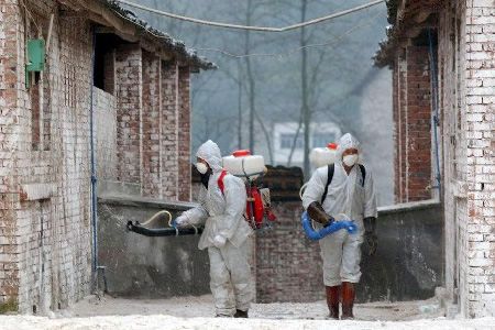 H7N9禽流感預(yù)防個(gè)人防護(hù)