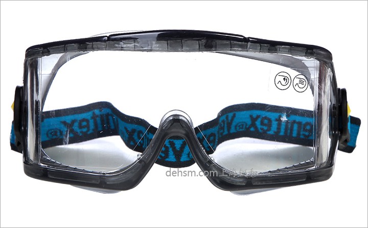 代爾塔101104 防化防霧護(hù)目鏡圖片-正面