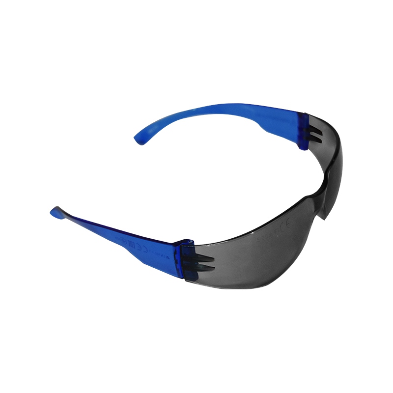 代爾塔101108防護(hù)眼鏡藍(lán)色圖1