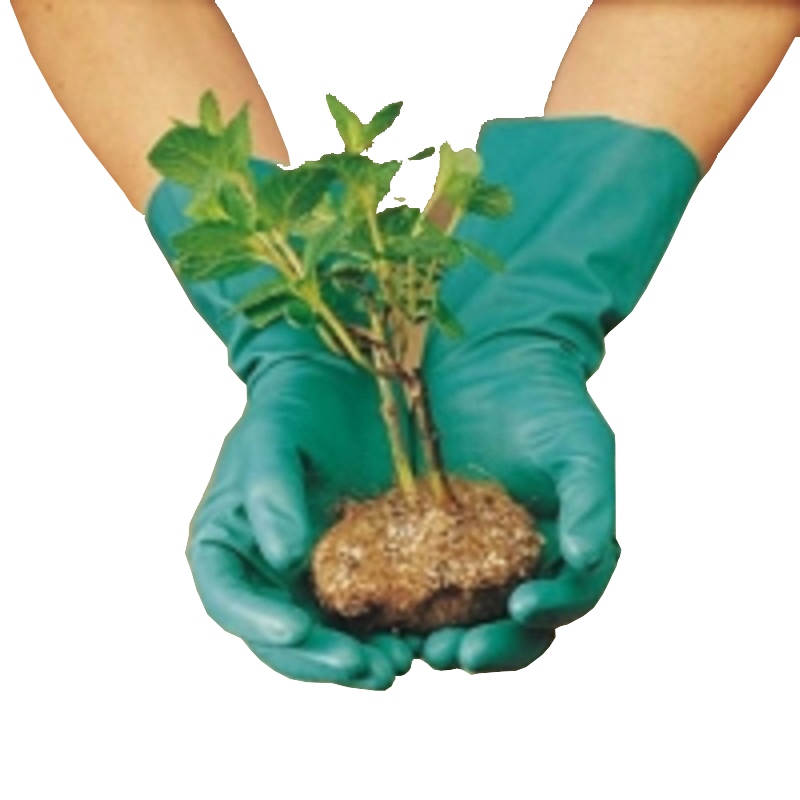 安思爾3981-7丁腈橡膠防化手套圖1