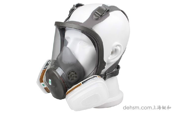 3m6800防毒面具側(cè)面圖片